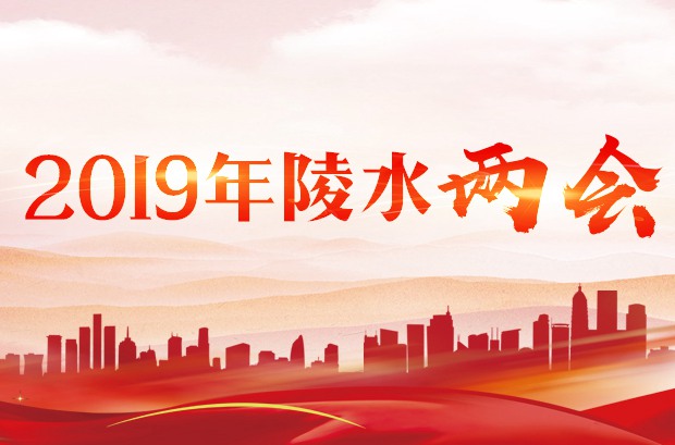 2019年陵水兩會